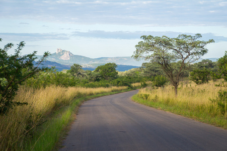 非洲的道路，在稀树草原，南非克鲁格 Np