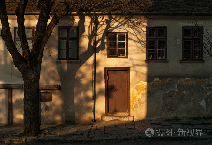 老房子上的树阴影