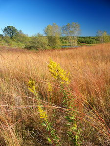 水壶碛草原景观威斯康星州