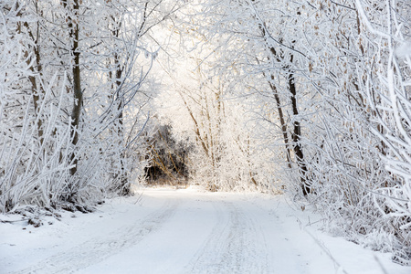 在白雪皑皑的森林景观的冬季道路