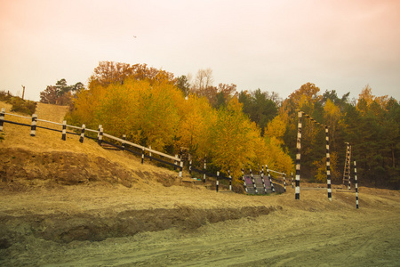 轨道赛车在秋天的树林。景观。定了调子