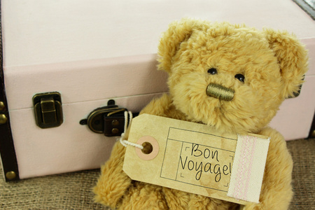 与老式手提箱和苯教航程行李牌泰迪熊