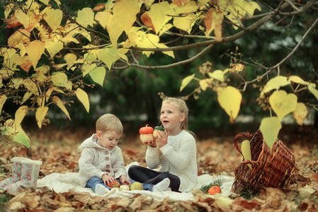 秋天的树林中的儿童