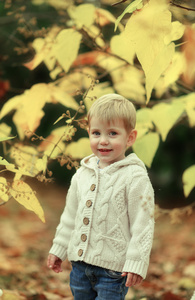 男孩和黄色的树叶