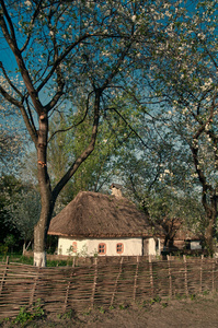 乌克兰村在基辅附近的 Pirogovo 的春天