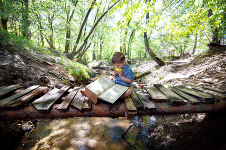 读一本书在森林里的男孩