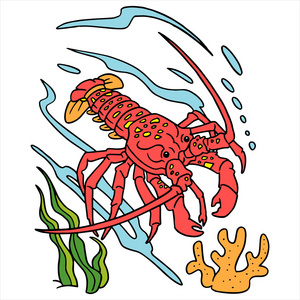 波龙虾龙虾卡通插图上白色孤立照片