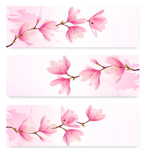 三个春天横幅开花早午餐的粉红色的花。矢量