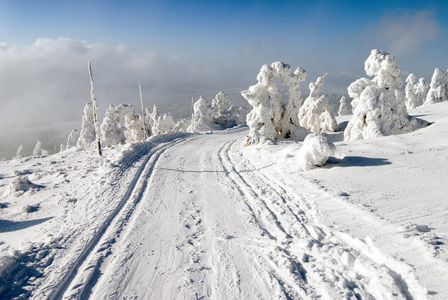 寒冬的景物与改性越野滑雪方式图片