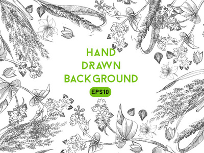 荞麦农场图片-荞麦农场素材-荞麦农场插画-摄图新视界