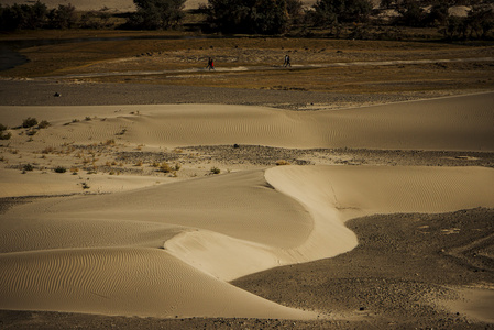 在努布拉河谷印度拉达克，沙丘
