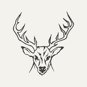鹿的插图。黑色和白色的风格