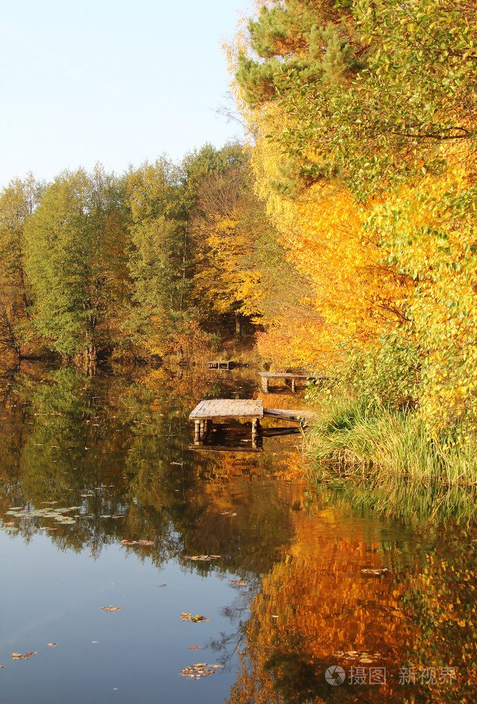 在秋天的森林湖