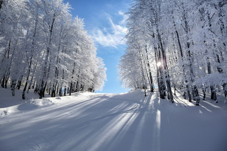 Vigla，黄金的滑雪中心，希腊的自然风光