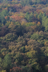 多彩秋天自然附近布拉格，捷克共和国
