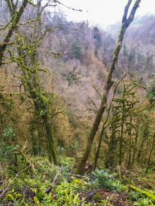 山，索契的看法