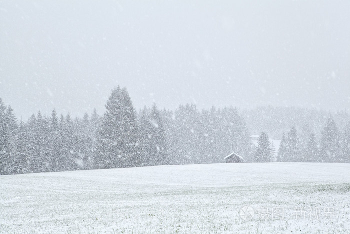 暴风雪在bavariah的草地上