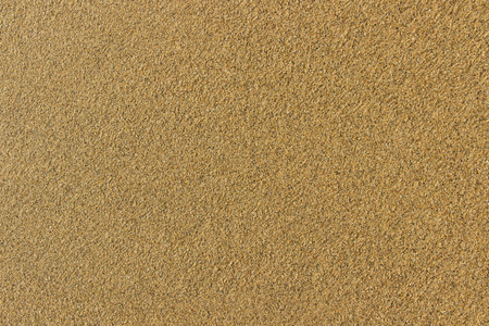 姓氏壁纸小沙图片