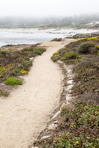 海边沙地路