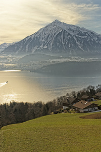 瑞士湖视图附近图恩与视图的 Niesen 峰值和一个小