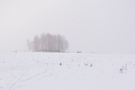 雪域景观