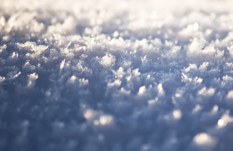 雪背景关闭