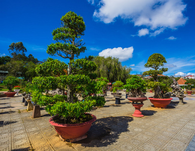 盆景花卉公园图片