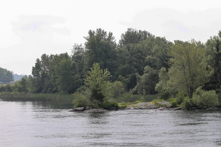 在河上的自然景观