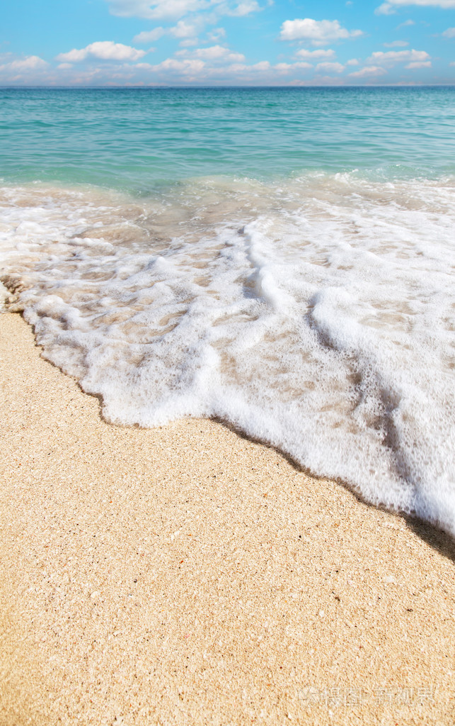 海洋海岸: 沙滩和大海