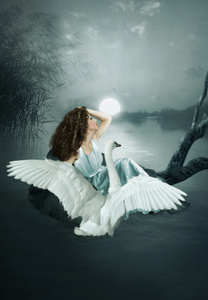 这个女孩和天鹅照片