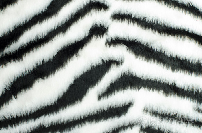 黑色和白色皮毛斑马图案
