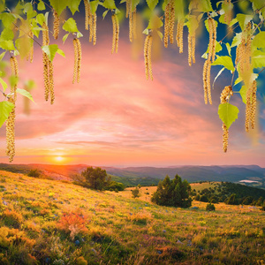 花背景