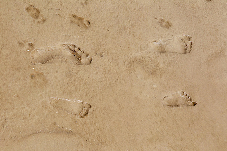 儿童和成人的人类脚印，在 bea 湿的沙滩上