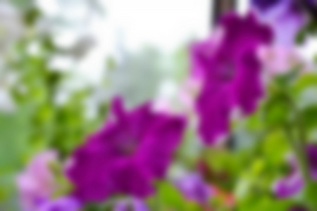 明亮的模糊背景在两个紫色的小形状在花园里