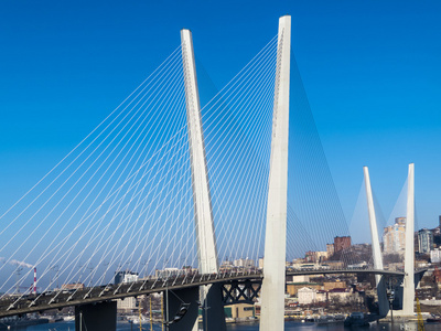 斜拉桥悬索桥图片