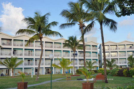 加勒比的大型酒店，与树