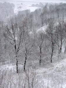 落雪的冬天