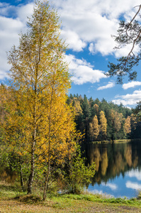 美丽的秋天风景与森林湖