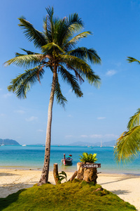景观大海，小船，在普吉岛的棕榈树