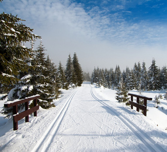 寒冬的景物与改性越野滑雪方式