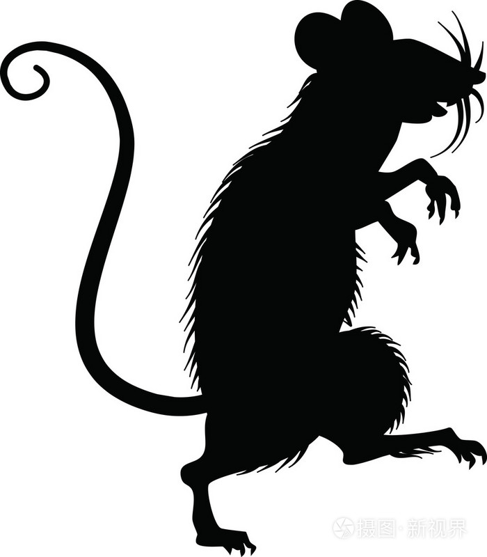 矢量轮廓的白色背景上的老鼠