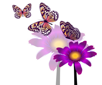 飞行的蝴蝶和夏天的花