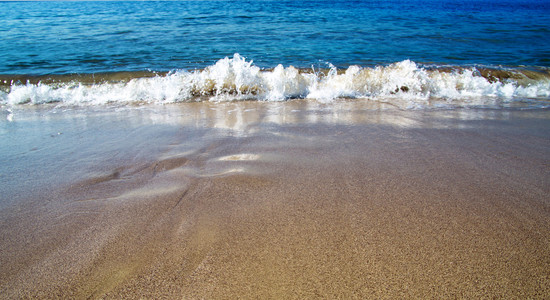 海滩和热带海