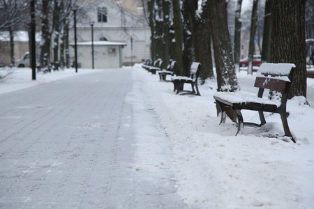 公园里的小路, 在雪与长椅