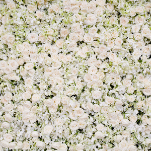 白花盛开鲜花背景图片