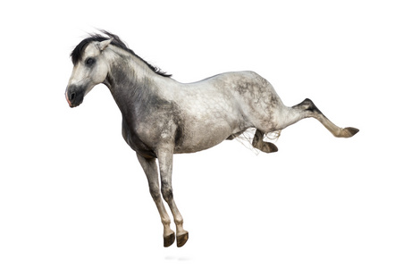 踢出去图片-踢出去素材-踢出去插画-摄图新视界