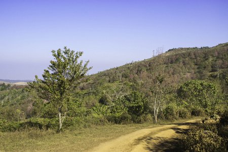 山区和山区公路的意见