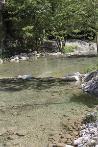 在树林里流