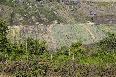 山区和山区公路的意见