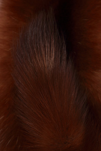 毛茸茸的极地狐狸时尚纹理背景